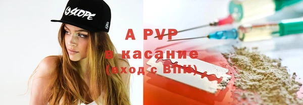 стаф Сафоново