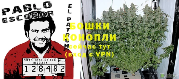 стаф Сафоново