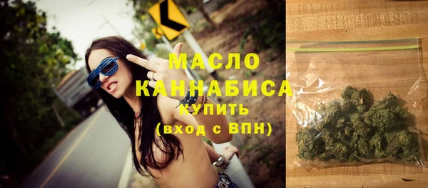 дживик Инта